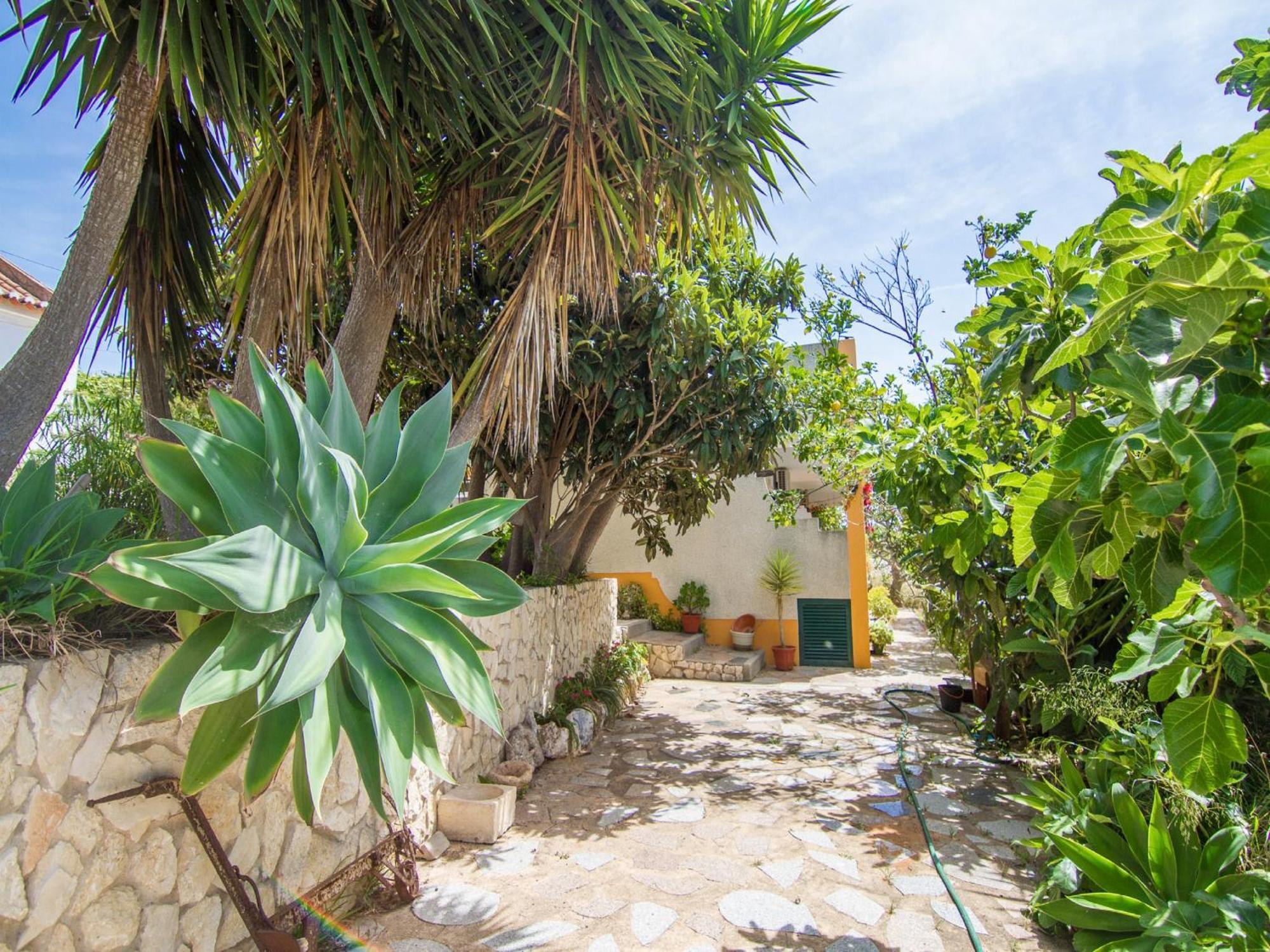 Akivillas Lagos Garden エクステリア 写真